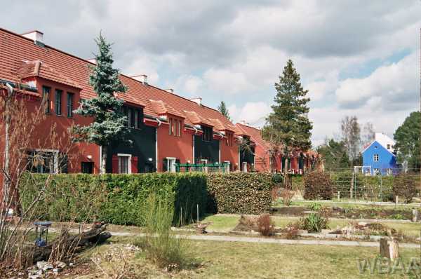 Nächstes Bild