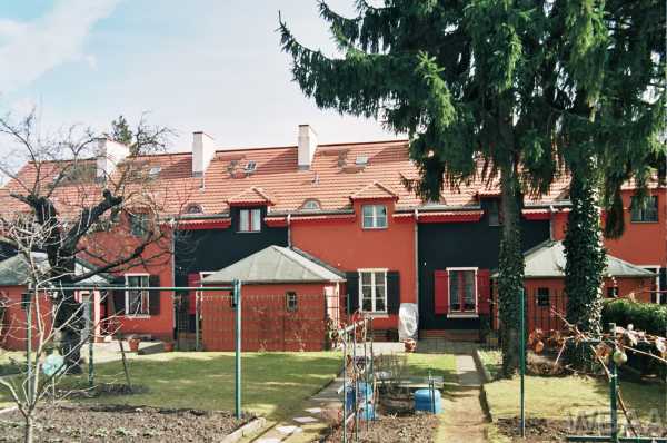 Nächstes Bild